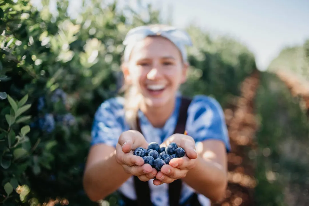 Dole Cyclospora Lawyer Update: Fresh Blueberries Recalled Due to Cyclospora Concerns.